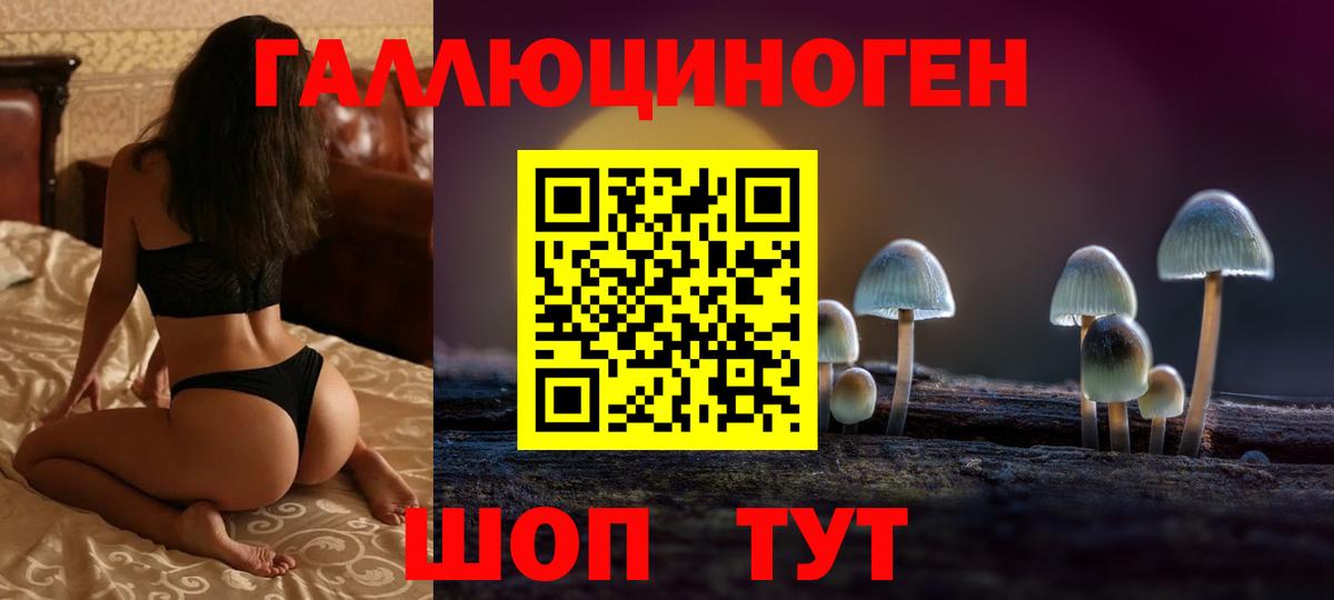 Темрюк  Псилоцибиновые грибы GOLDEN TEACHER  Вход с VPN 